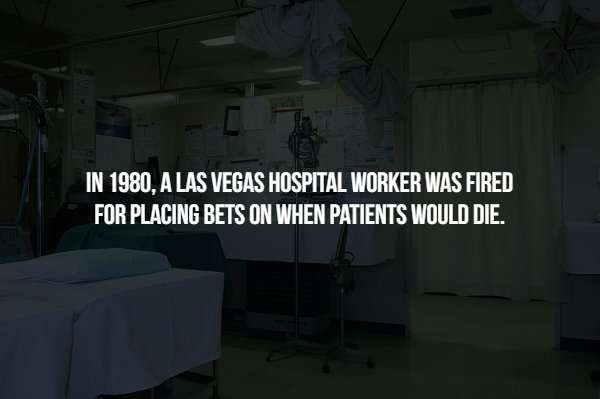 Scary Facts (15 pics)