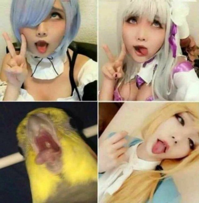 Acid Picdump. Part 2 (90 pics)