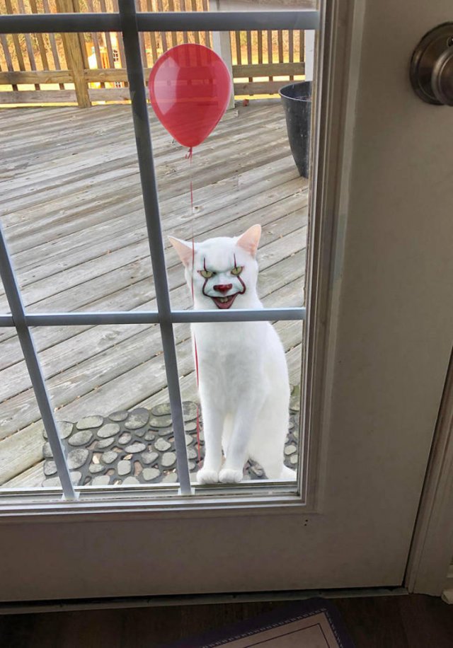 Acid Picdump. Part 1 (60 pics)