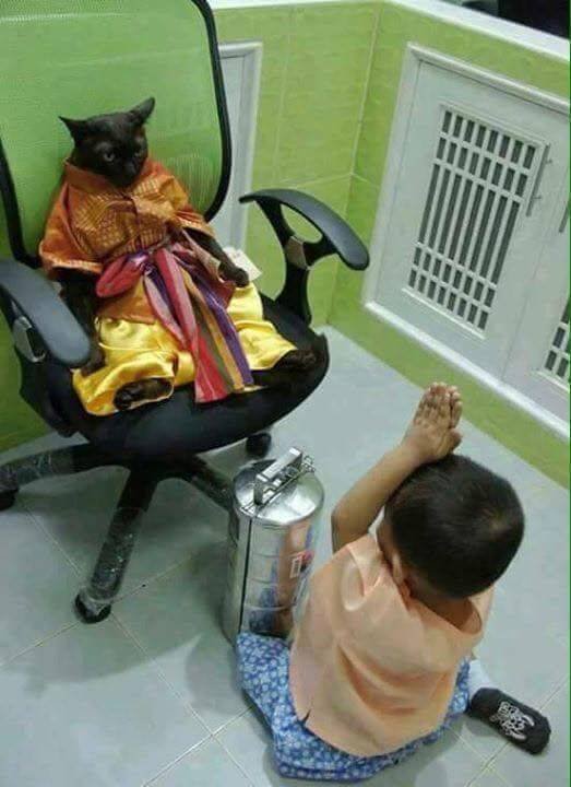Acid Picdump. Part 1 (90 pics)