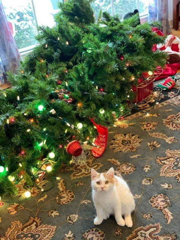 Acid Picdump. Part 2 (90 pics)