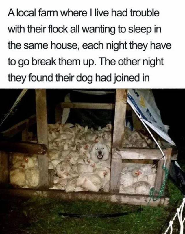Acid Picdump. Part 2 (90 pics)