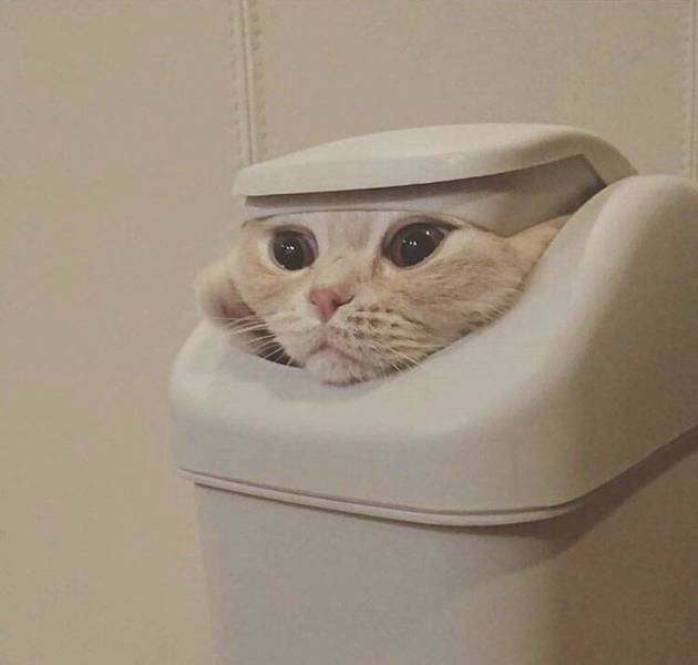 Acid Picdump. Part 1 (60 pics)