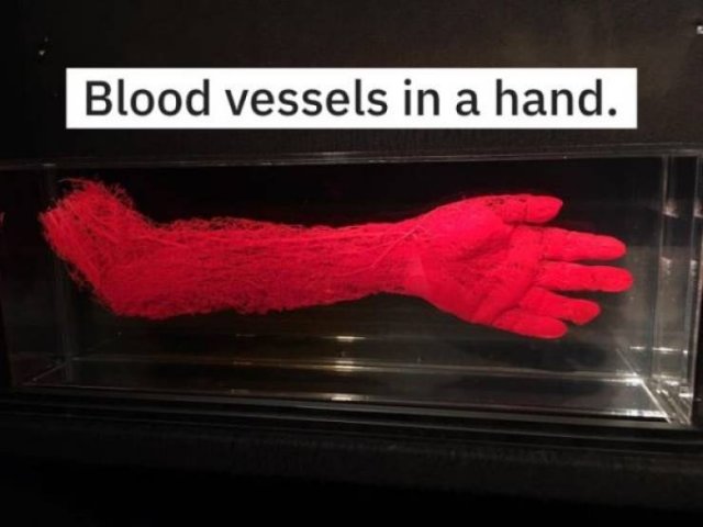 Acid Picdump. Part 1 (90 pics)