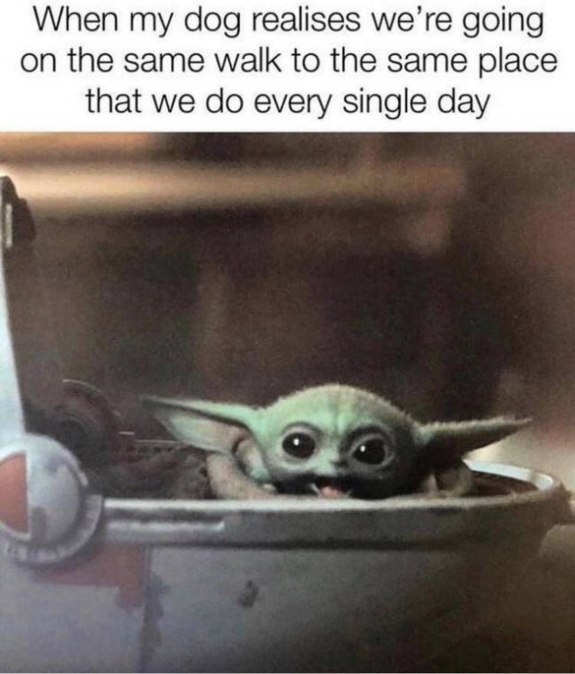 Baby Yoda Memes (33 pics)