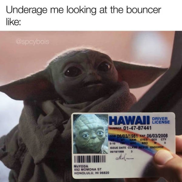 Baby Yoda Memes (33 pics)