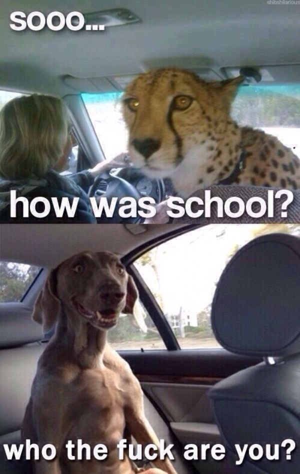 Everyday Fails (26 pics)