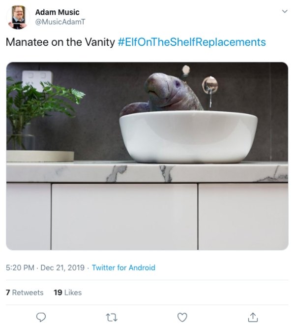 Elf On The Shelf Replacements (16 pics)