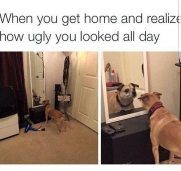 Everyday Fails (26 pics)