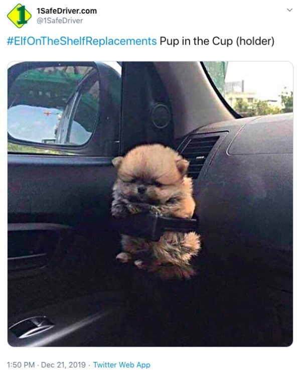 Elf On The Shelf Replacements (16 pics)