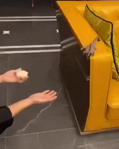 Acid Gifdump, December 23 (25 gifs)
