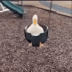Acid Gifdump, December 23 (25 gifs)