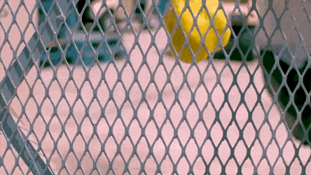 Acid Gifdump, December 23 (25 gifs)