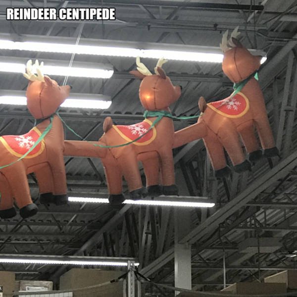 Christmas Decoration Fails (21 pics)