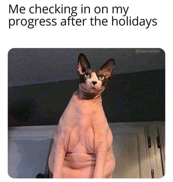 Random Funny Memes (31 pics)