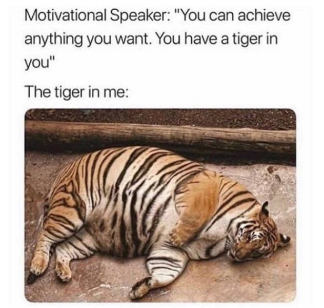 Random Funny Memes (31 pics)