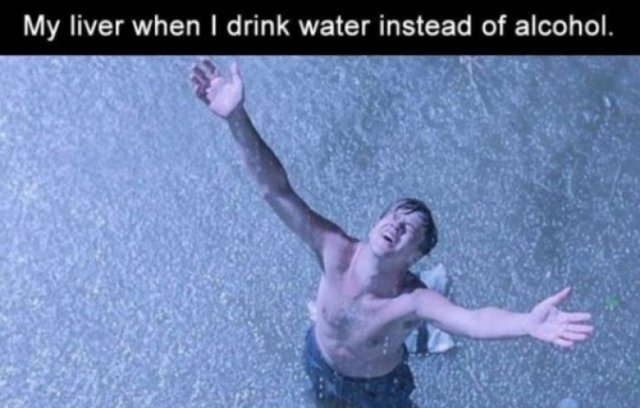 Random Funny Memes (31 pics)