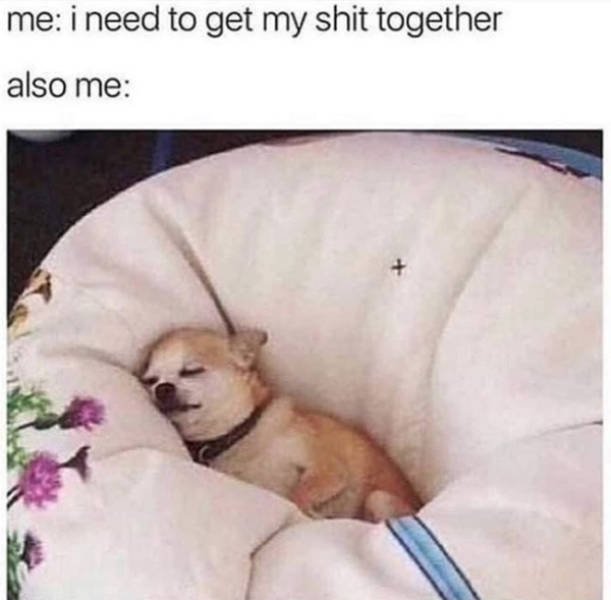 Random Funny Memes (31 pics)