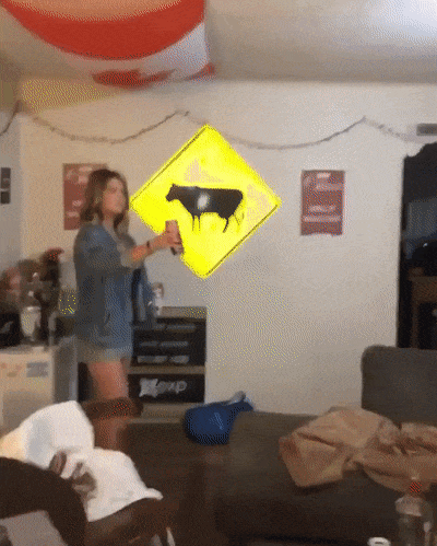 Girls Have Fun (16 gifs)