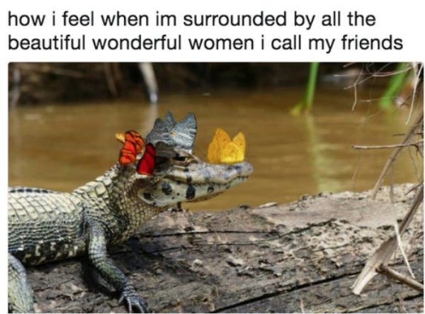 Memes For Women (35 pics)