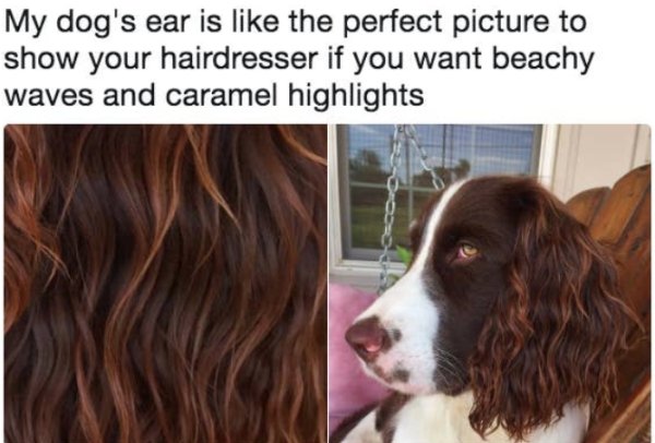 Memes For Women (35 pics)