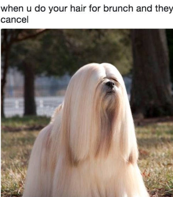 Memes For Women (35 pics)