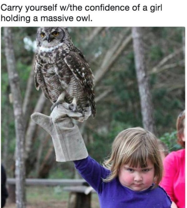 Memes For Women (35 pics)