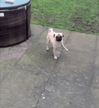 The Wrong Hand (17 gifs)