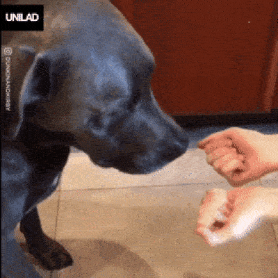 The Wrong Hand (17 gifs)