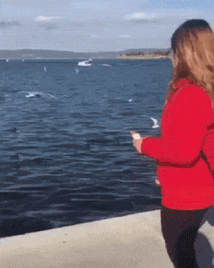 The Wrong Hand (17 gifs)