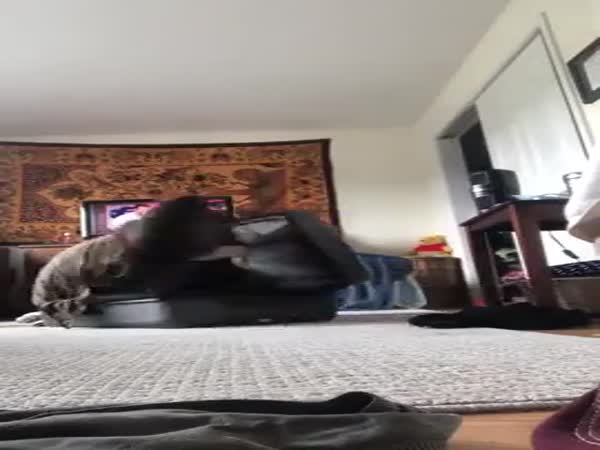 What Are You Doing There?