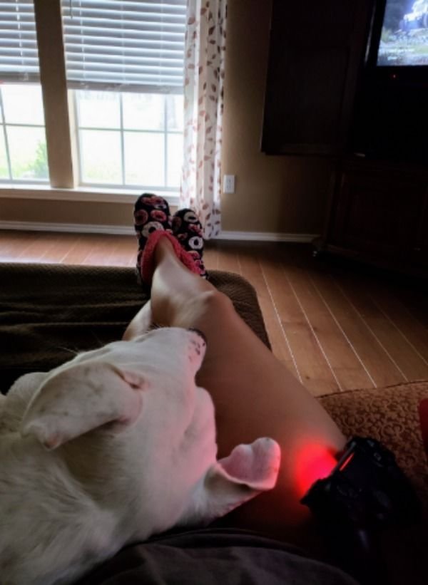 Pictures For Gamers (45 pics)
