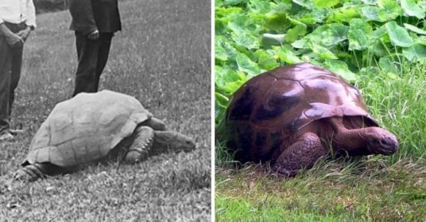 Then And Now: Warm Memories (23 pics) Then And Now: Warm Memories (23 pics)