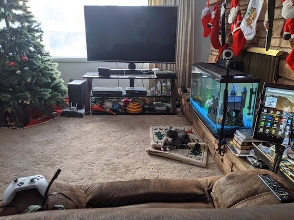 Pictures For Gamers (45 pics)