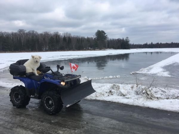 Only In Canada (27 pics)