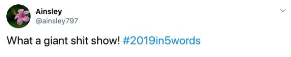 2019 In 5 Words (22 pics)