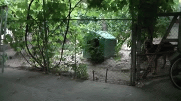 Acid Gifdump, December 27 (25 gifs)