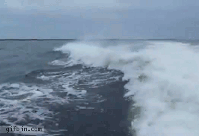 Acid Gifdump, December 27 (25 gifs)