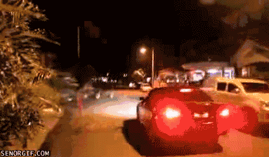 Acid Gifdump, December 27 (25 gifs)