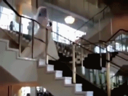 Acid Gifdump, December 27 (25 gifs)