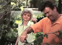 Acid Gifdump, December 27 (25 gifs)