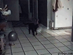 Acid Gifdump, December 27 (25 gifs)
