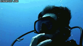 Acid Gifdump, December 27 (25 gifs)