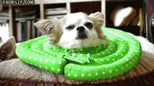 Acid Gifdump, December 27 (25 gifs)