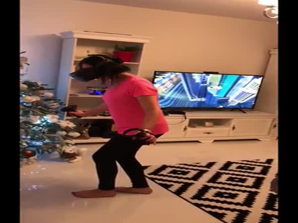 The Ultimate VR Experience
