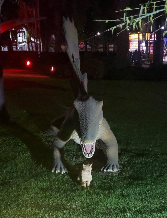 Acid Picdump. Part 1 (80 pics)