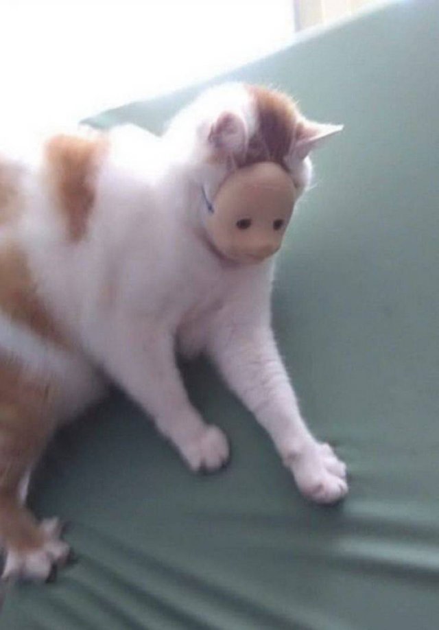 Acid Picdump. Part 1 (80 pics)