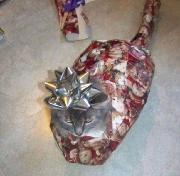 Acid Picdump. Part 1 (80 pics)
