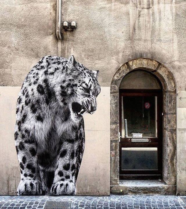Acid Picdump. Part 1 (80 pics)