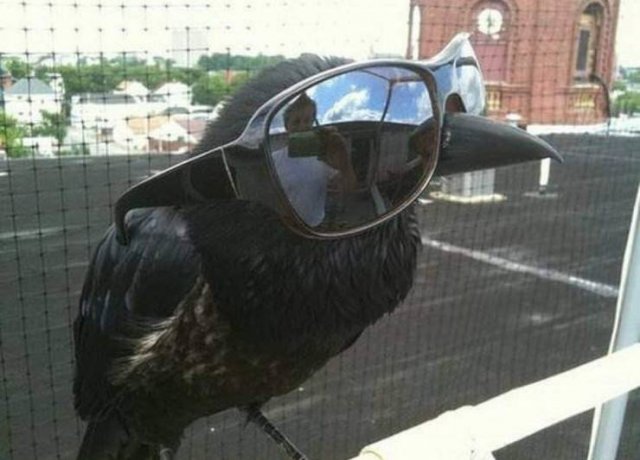 Acid Picdump. Part 1 (80 pics)